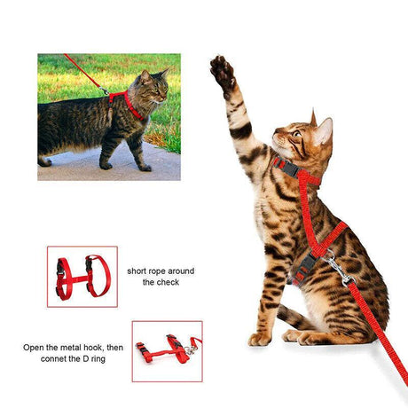 Adjustable Nylon Kitten Harness for safe and comfortable walks