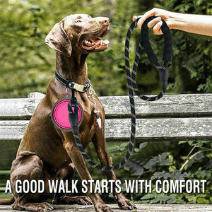 Strong Nylon Training Dog Leash