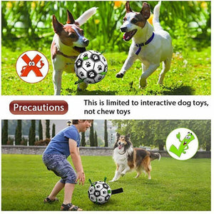 Dog happily playing with an Interactive Dog Soccer Ball outdoors