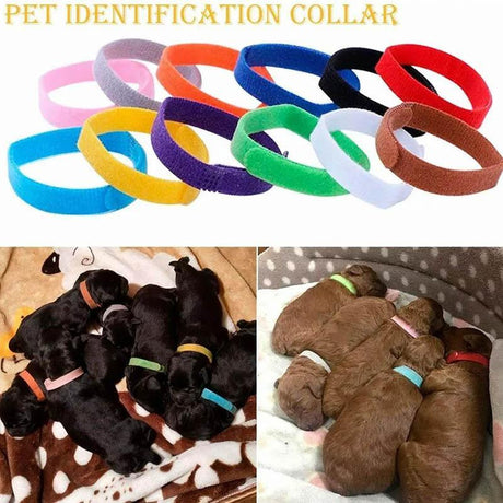 Whelping ID Collar Bands for Puppies and Kittens