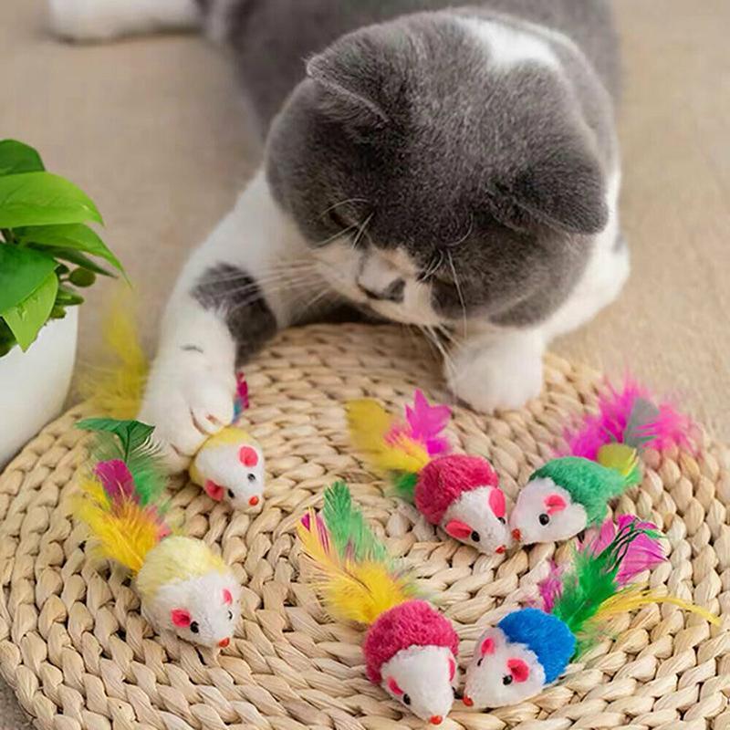 Assorted Kitten Toys for playful and active kittens