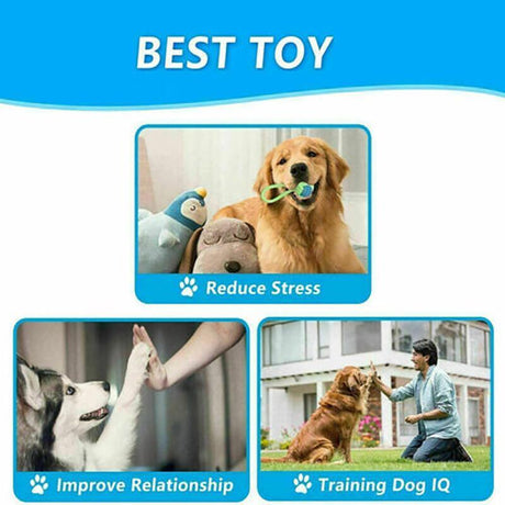 Durable and Fun 7-Piece Dog Rope Toy Set for Active Play