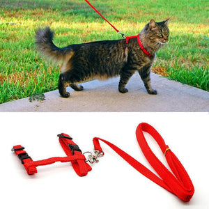 Adjustable Nylon Kitten Harness for safe and comfortable walks