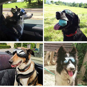 Stylish and Protective Dog Goggles for Pet Eye Safety