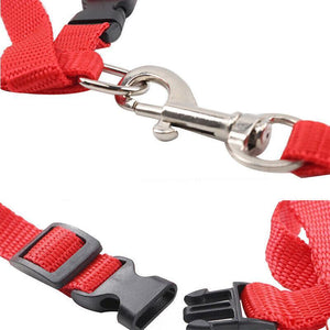 Adjustable Nylon Kitten Harness for safe and comfortable walks