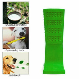 Durable dog chew toy with toothbrush design for effective teeth cleaning