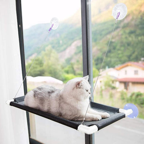 Durable Cat Window Hammock for comfortable and secure lounging