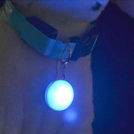 LED Pet Collar Pendant Leash Light for Night Safety