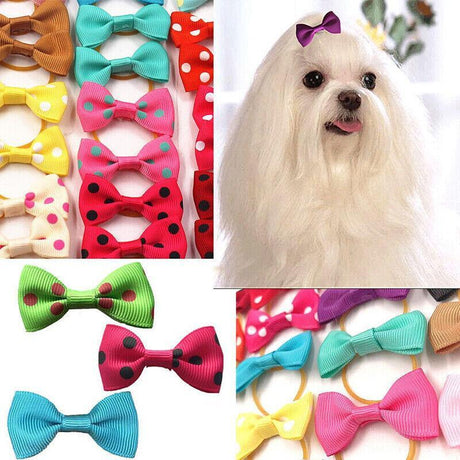 Assorted Dog Hair Bows