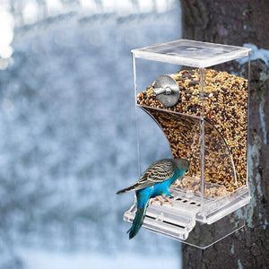 No-Mess Auto Cage Bird Feeder