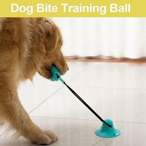 Interactive Floor Suction Cup Dog Chew Toy for Durable Play