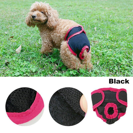 Comfortable and Reusable Dog Diapers for Female Dogs