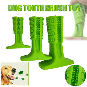 Durable dog chew toy with toothbrush design for effective teeth cleaning