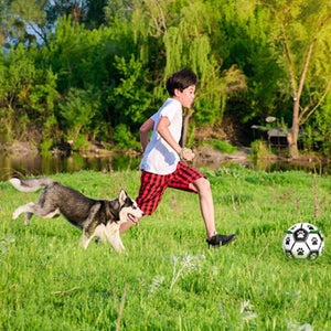 Dog happily playing with an Interactive Dog Soccer Ball outdoors