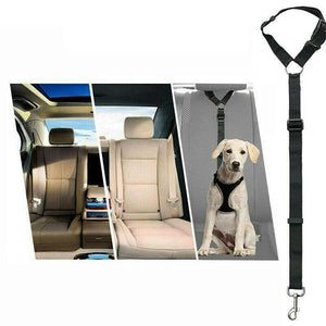 Adjustable Dog Seat Belt in various colors