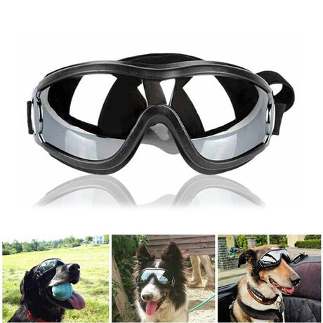 Stylish and Protective Dog Goggles for Pet Eye Safety