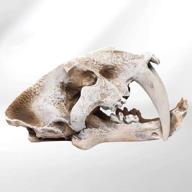 Fish Tank Saber Tooth Tiger Skull Hide Ornament