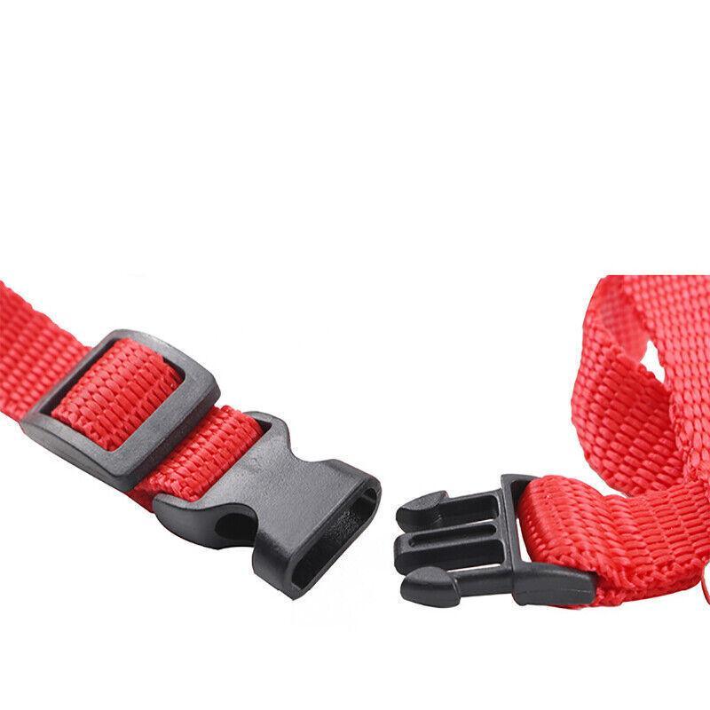 Adjustable Nylon Kitten Harness for safe and comfortable walks