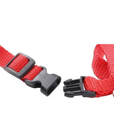 Adjustable Nylon Kitten Harness for safe and comfortable walks