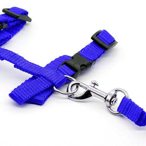 Adjustable Nylon Kitten Harness for safe and comfortable walks