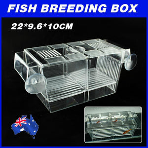 Aquarium Breeder Rearing Isolation Box 22x9.6x10cm