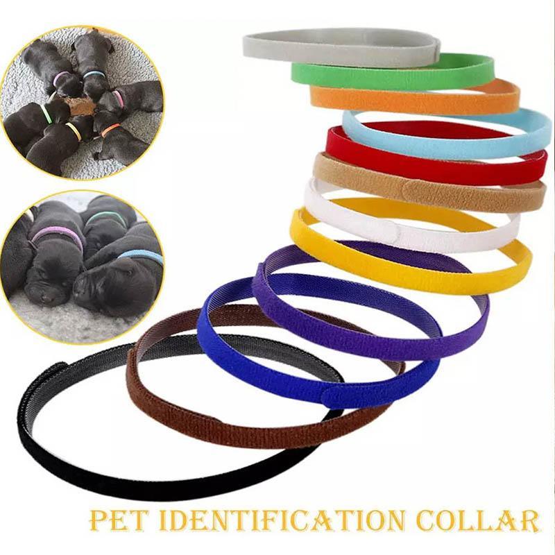 Whelping ID Collar Bands for Puppies and Kittens