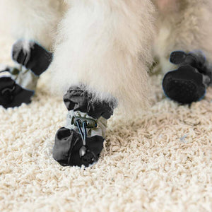 Waterproof Dog Boots for protecting your dog's paws