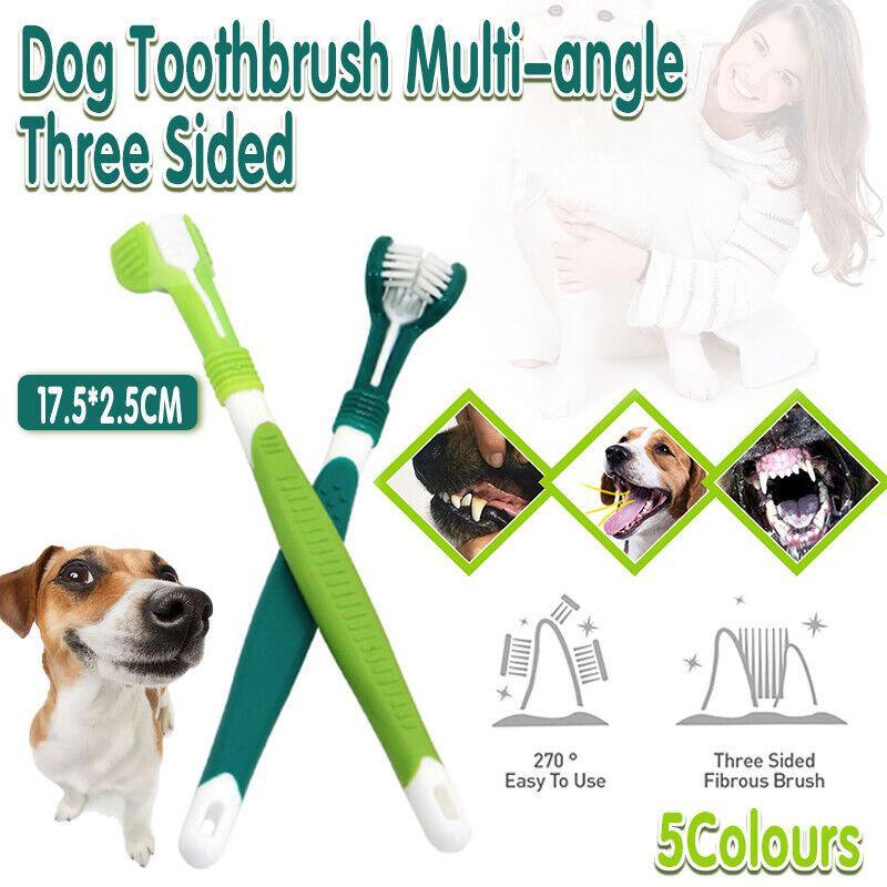 Multi-angle cat toothbrush with three-sided brush head