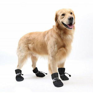 Waterproof Dog Boots for protecting your dog's paws