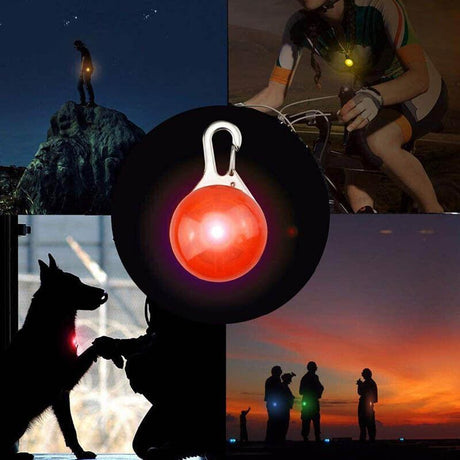 LED Pet Collar Pendant Leash Light for Night Safety