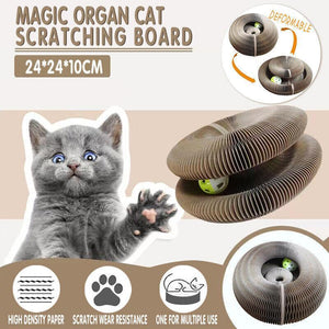 Magic Organ Cat Scratching Board