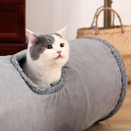 Interactive and Fun Cat Tunnel with Built-In Toy