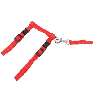 Adjustable Nylon Kitten Harness for safe and comfortable walks