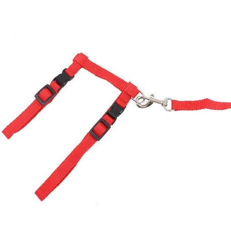 Adjustable Nylon Kitten Harness for safe and comfortable walks