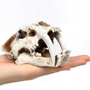 Fish Tank Saber Tooth Tiger Skull Hide Ornament