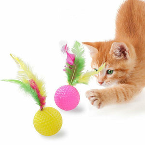 Assorted Kitten Toys for playful and active kittens