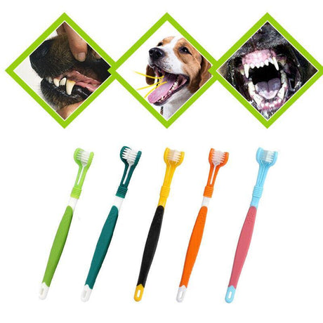 Multi-angle cat toothbrush with three-sided brush head