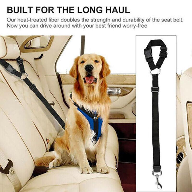 Adjustable Dog Seat Belt in various colors