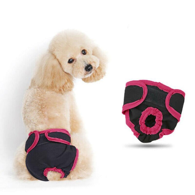 Comfortable and Reusable Dog Diapers for Female Dogs