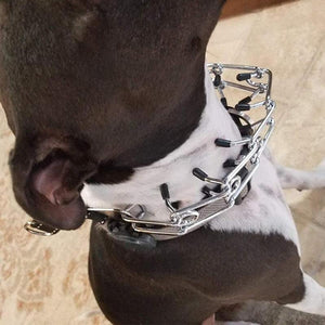 Adjustable Chain Dog Collar Metal Training Collar