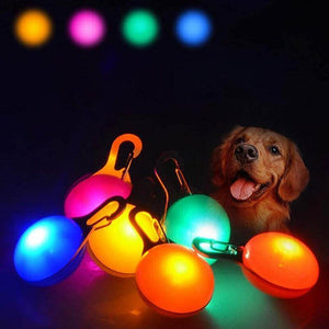 LED Pet Collar Pendant Leash Light for Night Safety