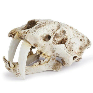 Fish Tank Saber Tooth Tiger Skull Hide Ornament