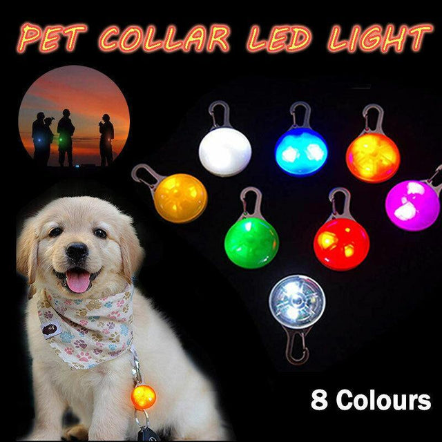 LED Pet Collar Pendant Leash Light for Night Safety