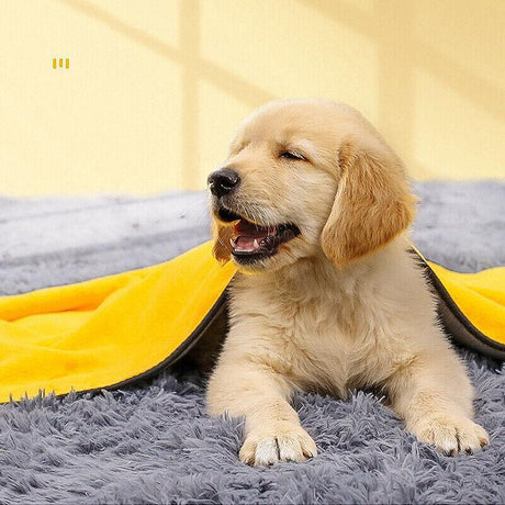 Ultra-Absorbent Microfiber Dog Towel for quick drying