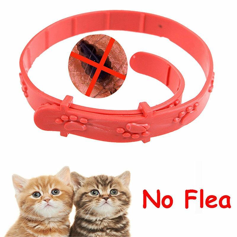 10PCS Adjustable Anti-Tick Cat Flea Collars