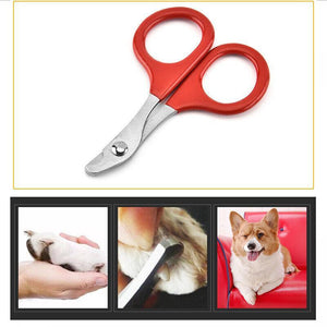 Pet Nail Clipper for Safe Grooming