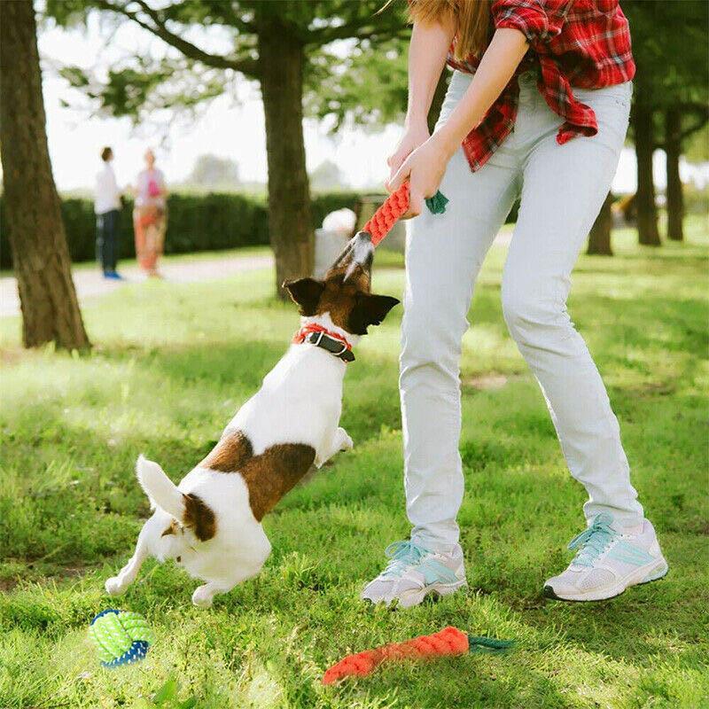 Colorful braided rope toys for dogs, perfect for interactive play