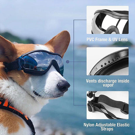 Stylish and Protective Dog Goggles for Pet Eye Safety