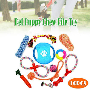 Colorful braided rope toys for dogs, perfect for interactive play