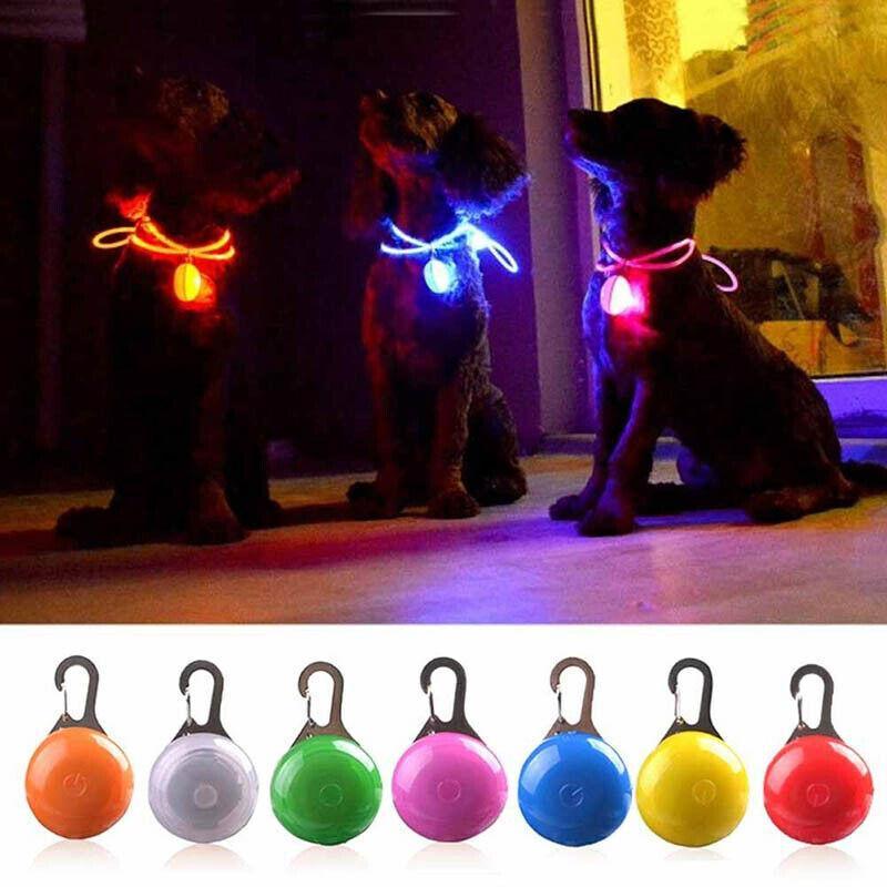 LED Pet Collar Pendant Leash Light for Night Safety